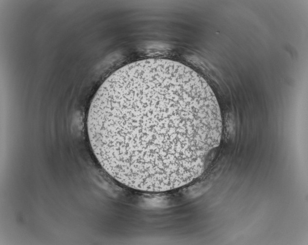 X0000111370667200908071215