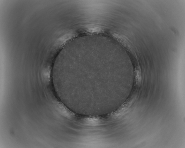 X0000111370668200908071215