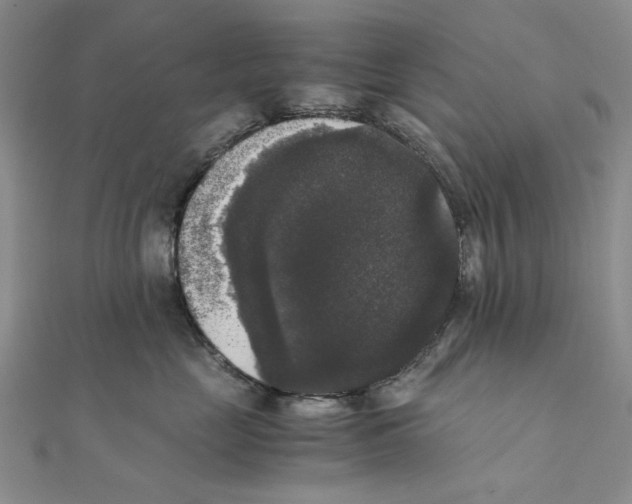 X0000111370669200908071215