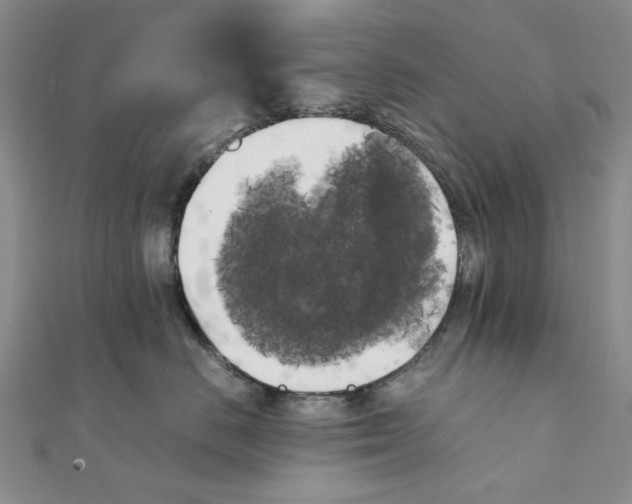 X0000111370670200908071215