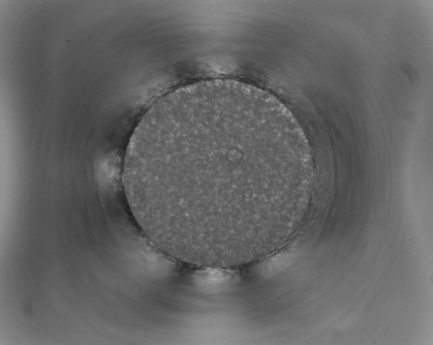 X0000111370672200908071215