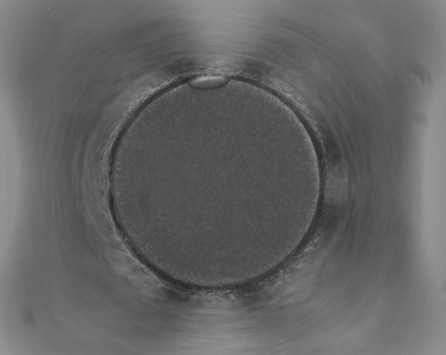 X0000111370673200908071215