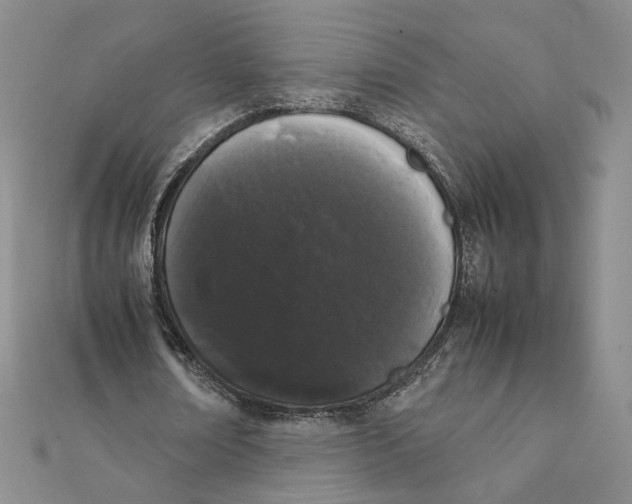 X0000111370674200908071215