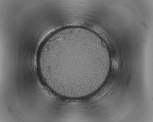 X0000111370676200908071215
