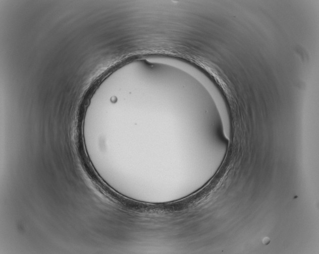 X0000111370677200908071215