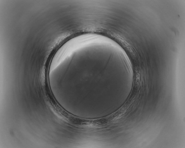 X0000111370678200908071215
