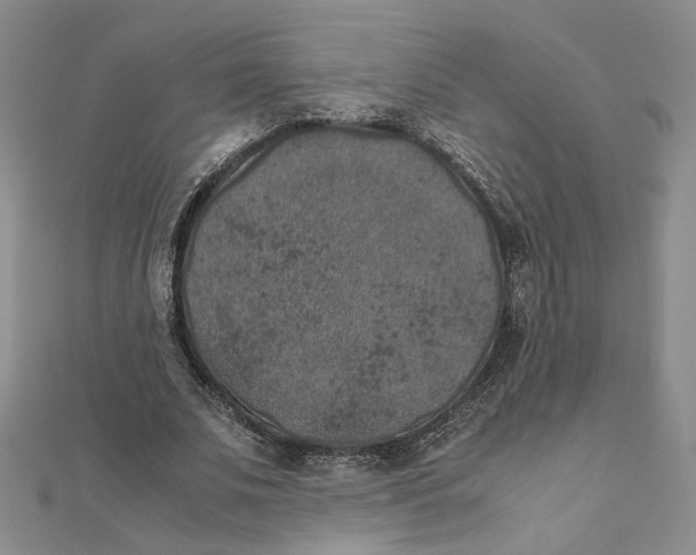 X0000111370679200908071215
