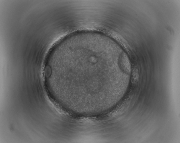 X0000111370680200908071214