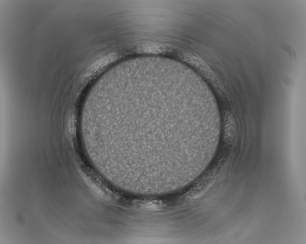 X0000111370683200908071214