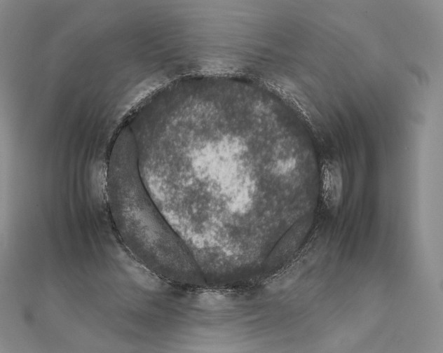 X0000111370684200908071214