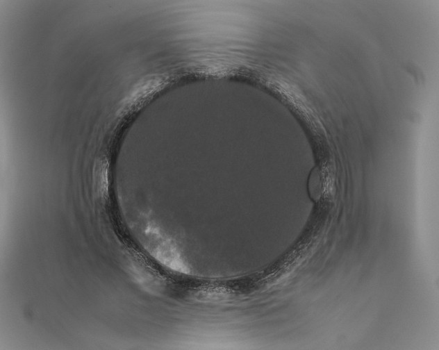 X0000111370685200908071214