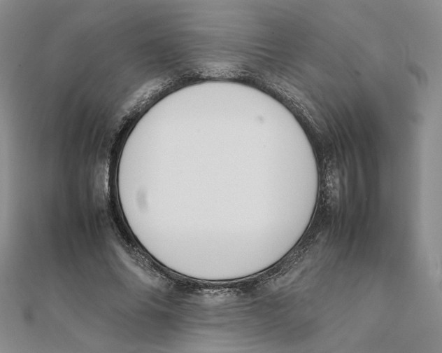 X0000111370686200908071214