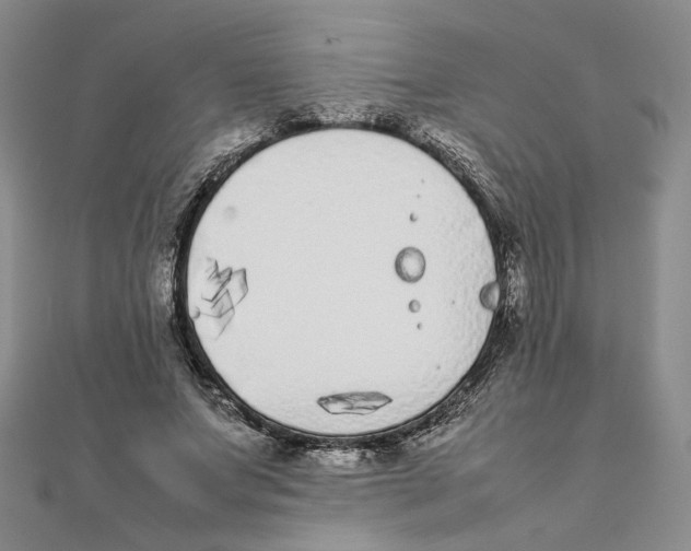 X0000111370687200908071214