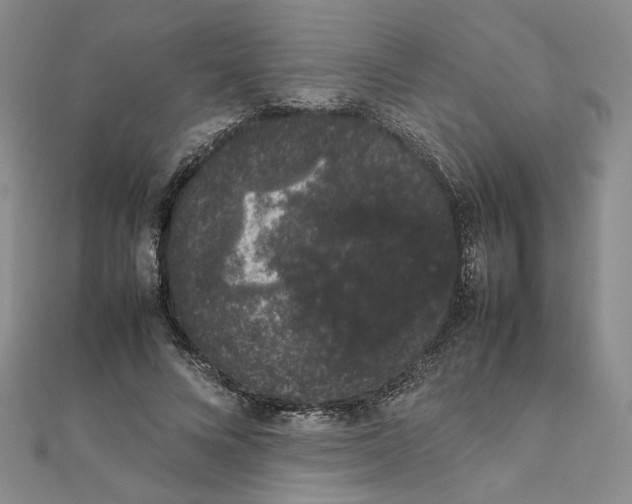 X0000111370688200908071214