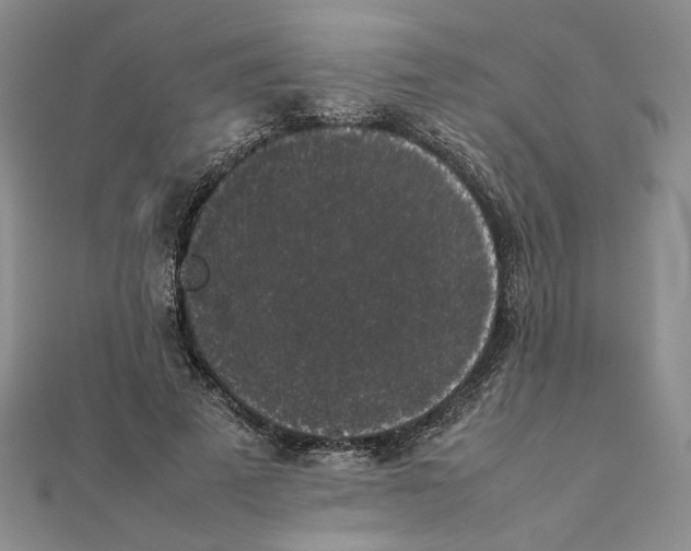 X0000111370689200908071214