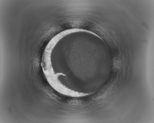 X0000111370691200908071214