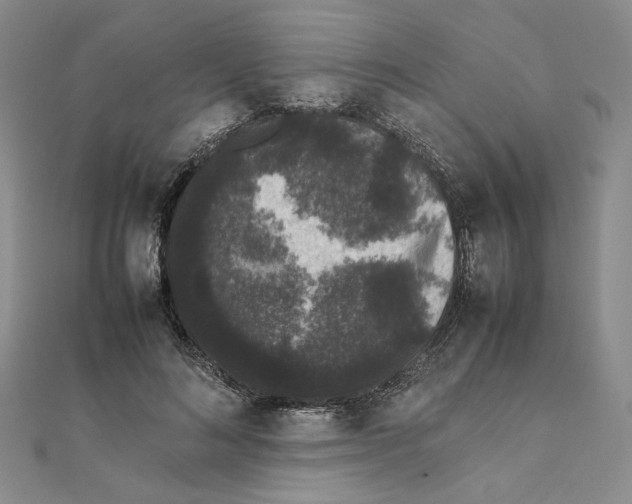 X0000111370692200908071214