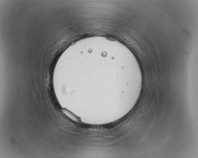 X0000111370693200908071214