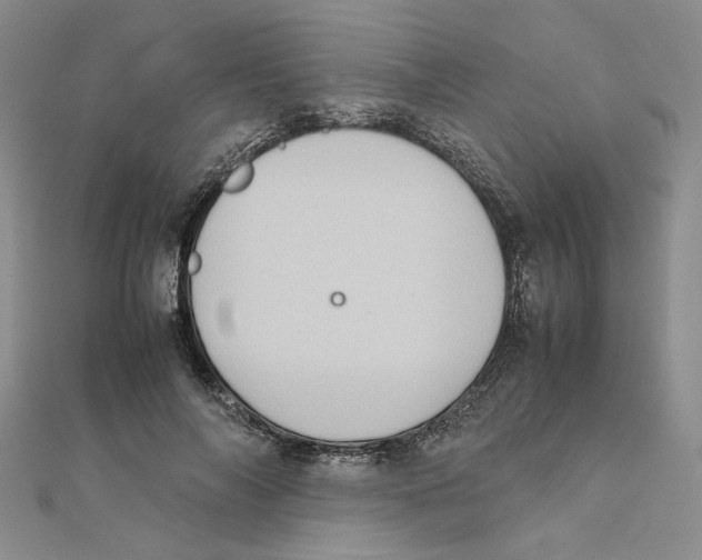X0000111370694200908071214