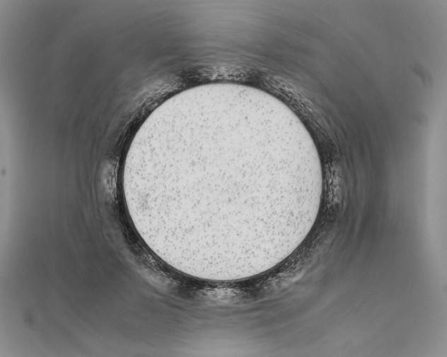 X0000111370695200908071214