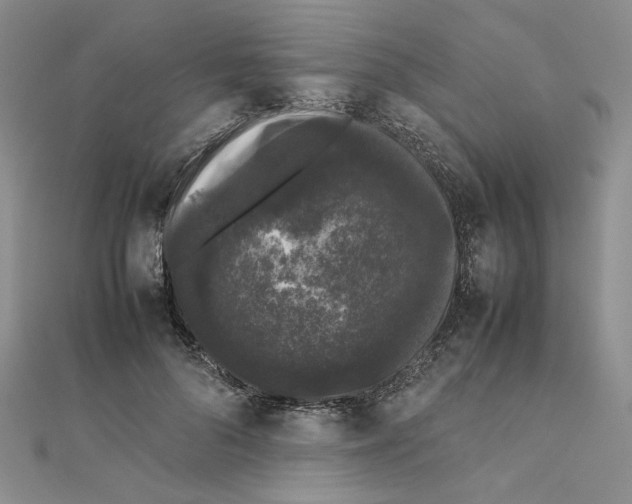 X0000111370696200908071214