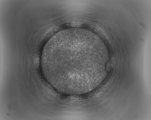 X0000111370697200908071214