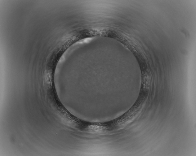 X0000111370699200908071214