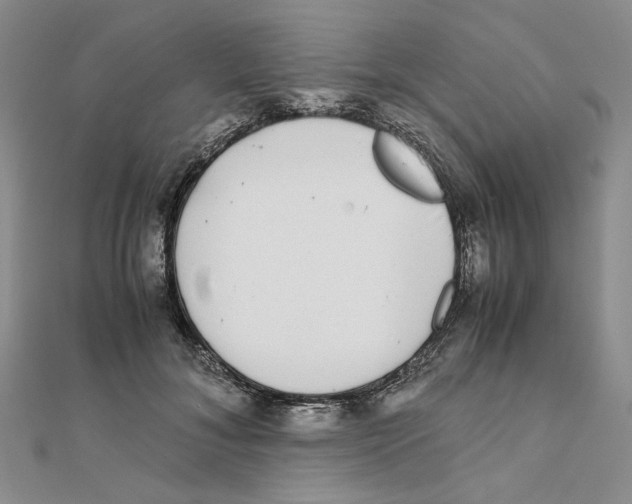X0000111370700200908071214