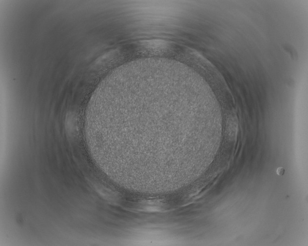 X0000111370701200908071214