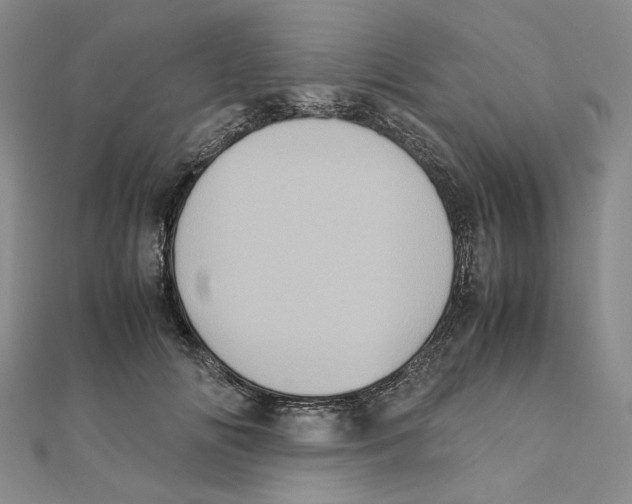 X0000111370702200908071214