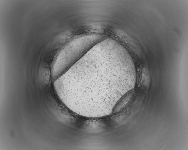 X0000111370704200908071214