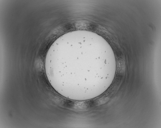X0000111370705200908071214