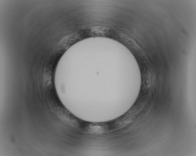 X0000111370706200908071214