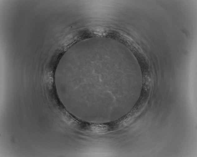 X0000111370707200908071214