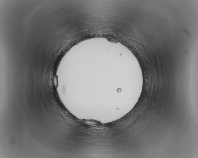 X0000111370708200908071214