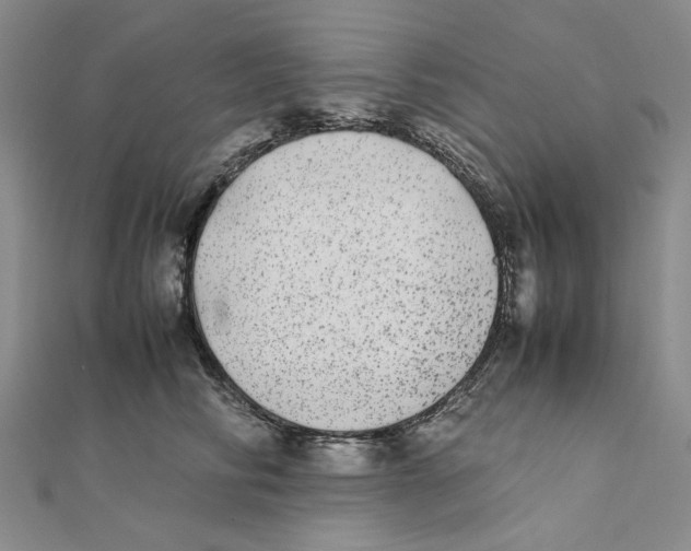 X0000111370710200908071214
