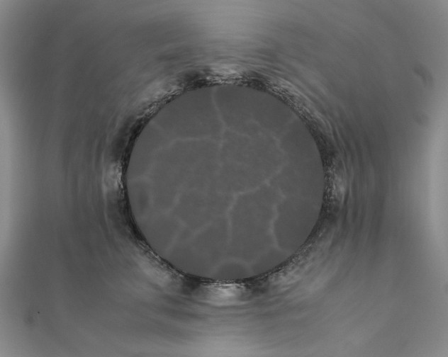 X0000111370711200908071214
