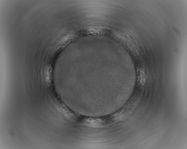 X0000111370712200908071214