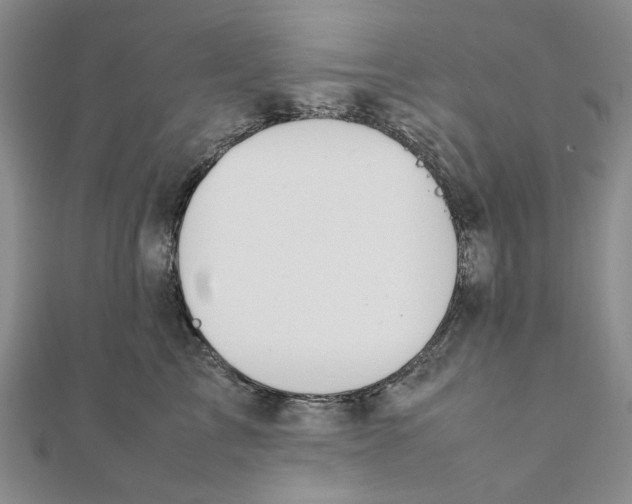 X0000111370713200908071214