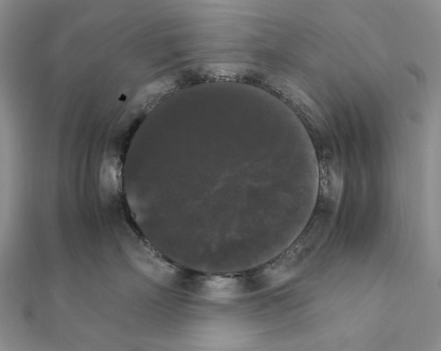 X0000111370718200908071214
