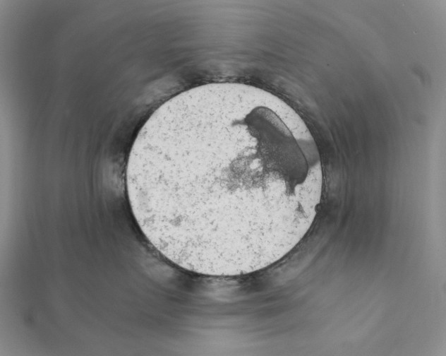 X0000111370719200908071214