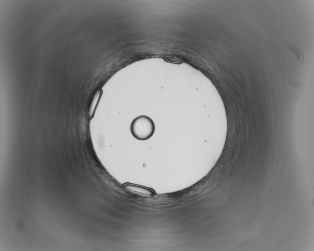 X0000111370720200908071214