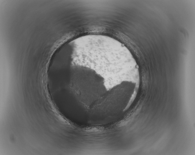 X0000111370721200908071213