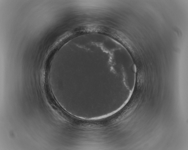 X0000111370722200908071213