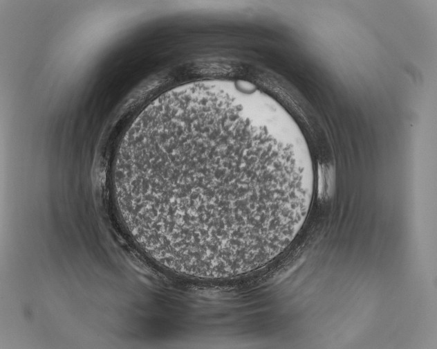 X0000111370723200908071213