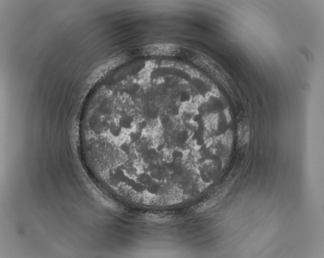 X0000111370725200908071213