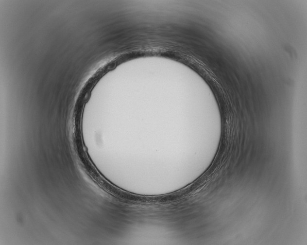 X0000111370726200908071213