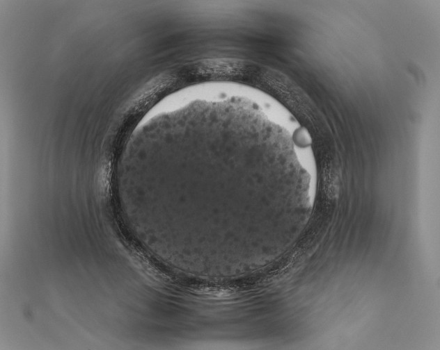 X0000111370735200908071214