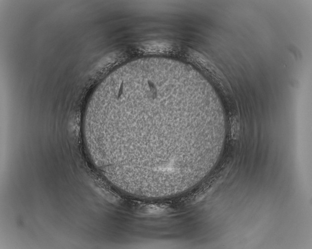 X0000111370737200908071214