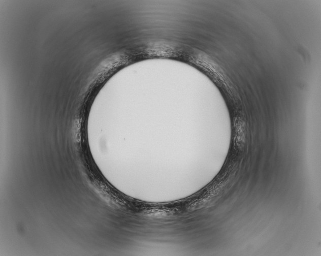 X0000111370738200908071214